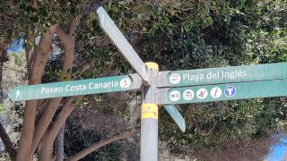 2024-01-Paseo_Costa_Canaria-San_Agustin-Ingles-200.jpg